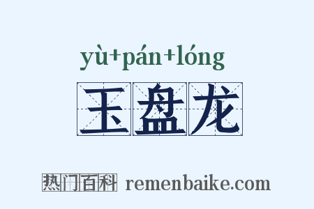 玉盘龙是什么意思的图片